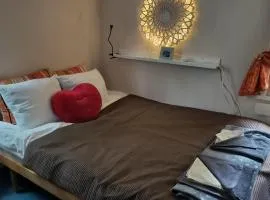 Retro House