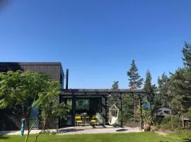 Exclusive cabin near sea & Preikestolen
