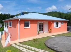 Maison charmante au Diamant - Vue jardin - Climatisée