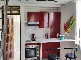 Appartement confortable à Lamentin 30 m² avec vue montagne