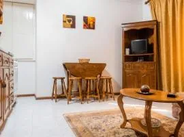 Charming Apartment in Alvoco da Serra - Mountain View - 50 sqm