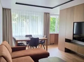 Central Apartament