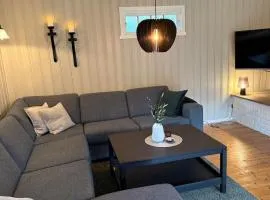 Large cabin near the lake, boat can also be rented