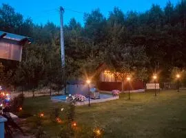 Magia Leśnych Dolin 44
