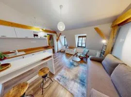 Apartment Gabriel in the historical center
