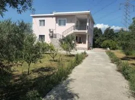 Visi garden house