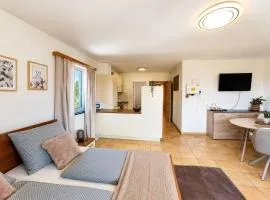 Faraway Homes Studios Eberstalzell