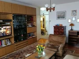 City centar apartman