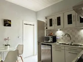 Folini House