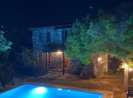 Stone mansion with private pool and garden and authentic village house