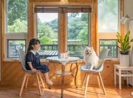 Hongcheon Lime Orange Pension