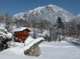 Chamonix petit chalet Cocooning, hotelli kohteessa Servoz lähellä maamerkkiä Bambi