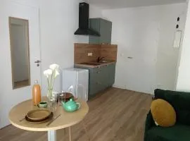 Appartement cosy au coeur de Montaigu