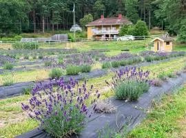 Villa Stockholm Lavendel