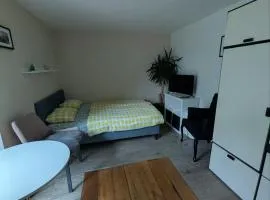 Airport Private Apartment, Advance Registration, No Reception, Self Check-in, Calm Environment, Non-Smoking Guests