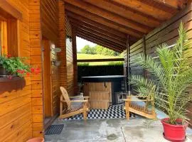 Chalet chaleureux avec sauna, terrain, terrasse et babyfoot à Saint-Nabord - FR-1-589-255