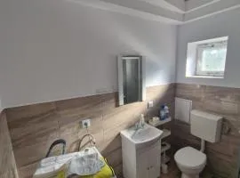 Apartament in vila
