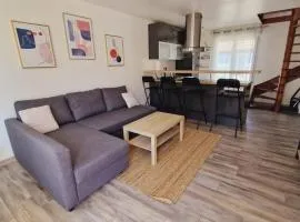 Duplex 40m2 cocooning cœur de ville avec parking