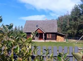 Apartament Janewiczówka