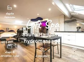 Loft Spa Sauna Hammam Hydromassage