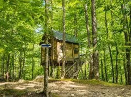 Off-Grid Treehouse White Mountain National Forest
