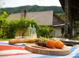 Cosy Apartment Pr Potokar