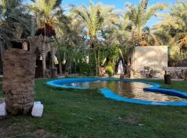 Mezorin Farm - Peaceful Eco-Retreat & Private Stay