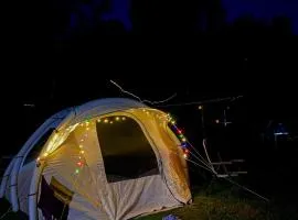 Camping Livada Musceleana