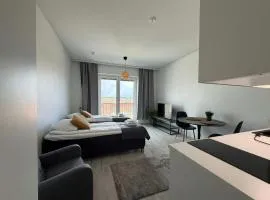 Convenient Studio for 2