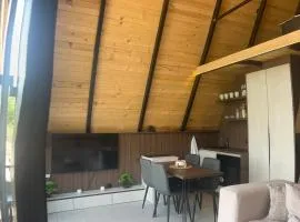 LiLo s Villa