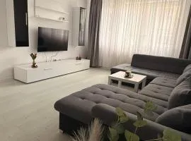 Grey Apartment-Prelungirea Ghencea