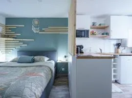 Studio cosy Allevard