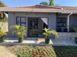 Modern 2 bed apartment with 2 baths - 2391