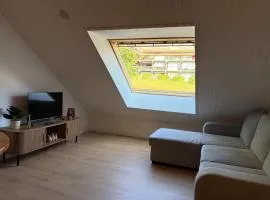 Studio 4 pers au pied des pistes, parking gratuit