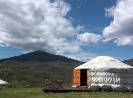 4-bed yurt Lavender yurt