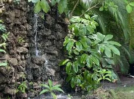 rent rooms bavaro los corales arubs