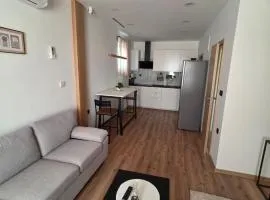 Zoja house