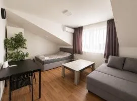 Spacious apartment close to Vienna in a calm area