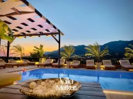 Villa Merkuri