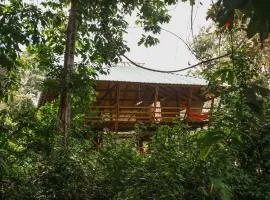 Madre Selva Eco Lodge