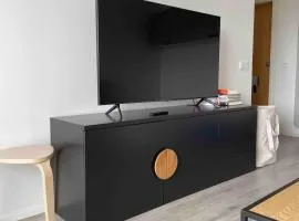 Stylish and newly renovated downtown apartment
