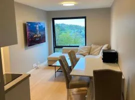 New & modern apartment in Lauvåsen near the zoo