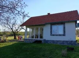 dr Genius Cottage