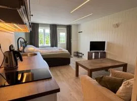 Cozy mini-apartment with kitchen