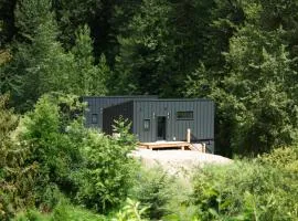 Tinwood Cabins The Descent, Cozy 3 min to Rossland