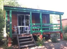 Chalet confortable avec terrasse, animaux OK - 6 pers. - API-1-52-2980