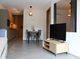 Modern apartment in the Tyrolean mountains