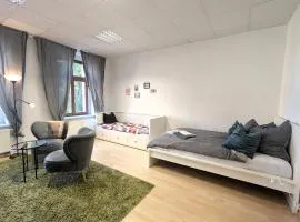 Grosses Zimmer im Zentrum Elise , ruhig & gemuetlich