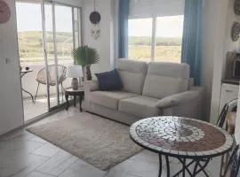 One bedroom apartment in La Mata, walking distance to the beach