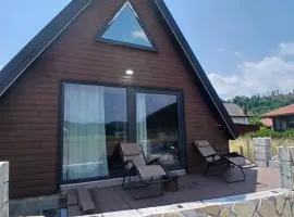 Chalet Anika